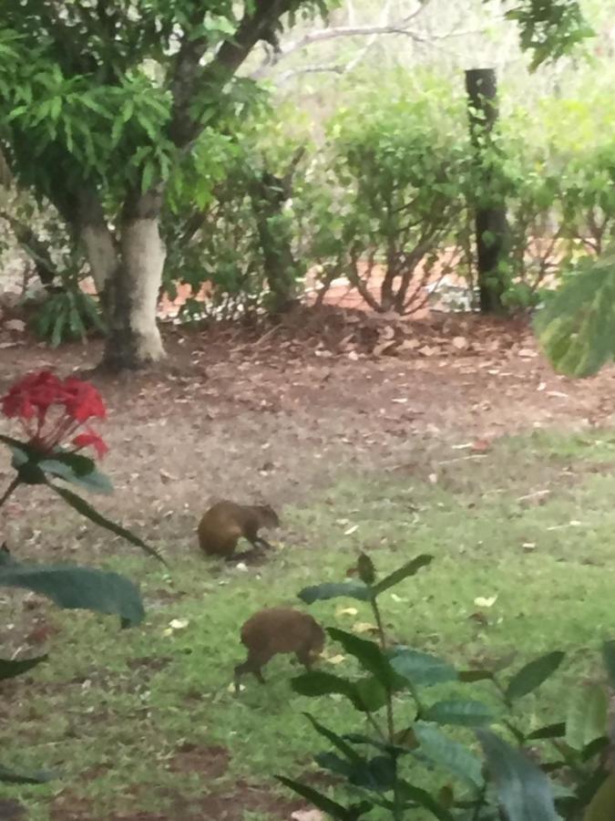 פונטארנס Villa Guarias מראה חיצוני תמונה